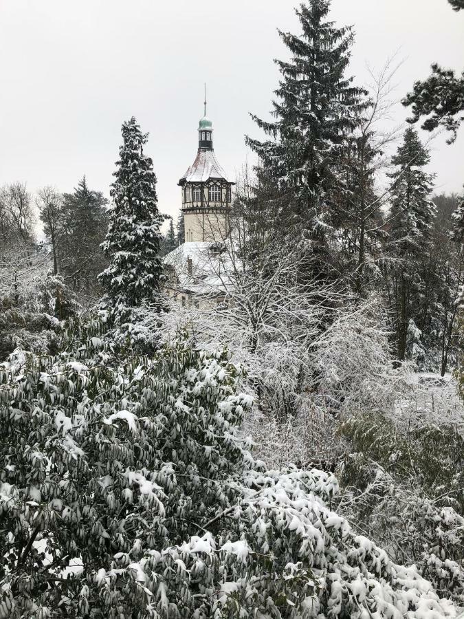 Villa Eden Mulhouse Bagian luar foto